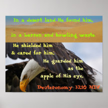 In een Woestijn,… Posters