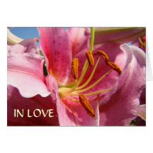 IN LIEFDE MET U! De Roze Lelies van de Kaart van d
