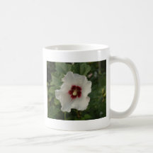 In openlucht koffie bekers