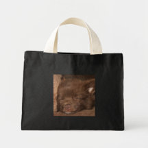 in slaap canvas tassen