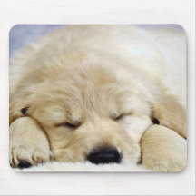 In slaap puppy muis matten
