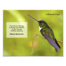 Inca colleté photographies