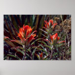 Indisch Penseel Print