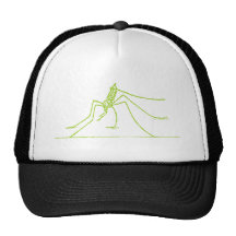 insecte casquettes de camionneur