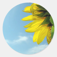 Insecte de tournesol autocollant rond
