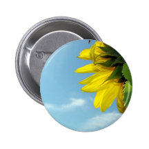 Insecte de tournesol badge