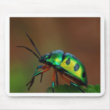 Insecte Mousepad de bijou Tapis De Souris
