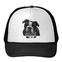 Inslag Trucker Petten