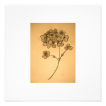 Invitation/carte amorties d'hortensia