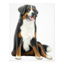 Invitation de chien de montagne de Bernese