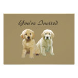 Invitation de chiot de golden retriever