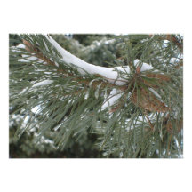 Invitation de conception de Pinecone d'hiver