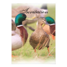 Invitation de faire-part de partie de canard