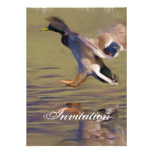 invitation de faire-part de partie de canard