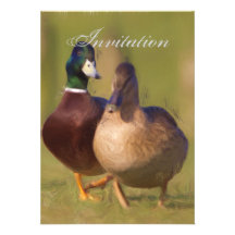 Invitation de faire-part de partie de canard