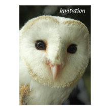 Invitation de hibou de grange