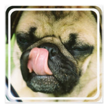 Invitation de Pugalicious