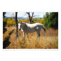 Invitation de WhiteHorse