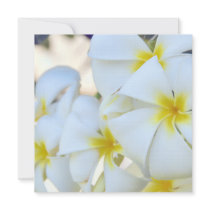Invitation tropicale de cascade de Plumeria