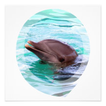 Invitations de conception de dauphin