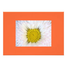 Invitations de nature