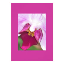 Invitations de nature
