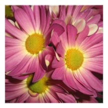 Invitations roses de mamans