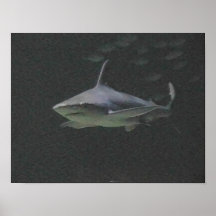 Invité de dîner posters