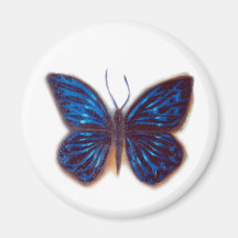 invloed van vlinders koelkast magneetjes