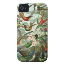 iPhone 4 van de kolibrie nauwelijks daar iPhone 4 Covers