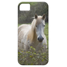 iPhone 5 geval met paard die over takken kijken iPhone 5 Cover