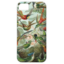 iPhone 5 van de kolibrie Geval