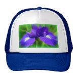 Iris anglais casquettes de camionneur