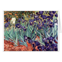 Iris Carte