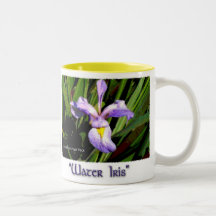 Iris de l'eau tasse à café