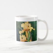 Iris orange tasses