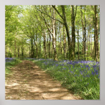 Jacinthes des bois poster