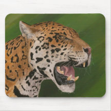 Jaguar Tapis De Souris
