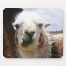 J'ai mangé le sujet d'ensemble Mousepad Tapis De Souris