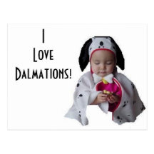 J'aime Dalmations ! Carte Postale