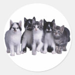 J'aime des chats de Junglewalk.com Adhésif