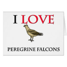 J'aime des Falcons pérégrins Cartes De Vœux