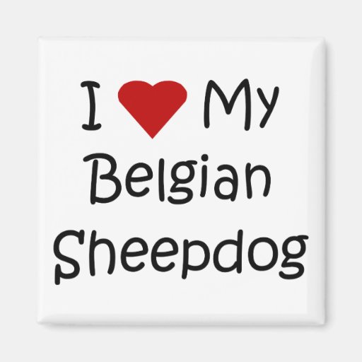 J'aime mes cadeaux belges d'amoureux des chiens de magnets