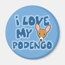 J'aime mon aimant de Podengo