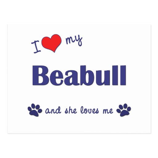 J'aime mon Beabull (le chien femelle) Carte Postale