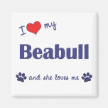 J'aime mon Beabull (le chien femelle) Aimants Pour Réfrigérateur