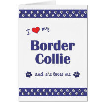 J'aime mon border collie (le chien femelle) carte de vœux