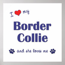 J'aime mon border collie (le chien femelle) posters
