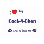 J'aime mon Coq-Un-Chon (le chien masculin) Carte Postale