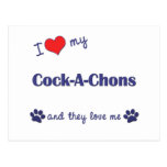 J'aime mon Coq-Un-Chons (les chiens multiples) Carte Postale